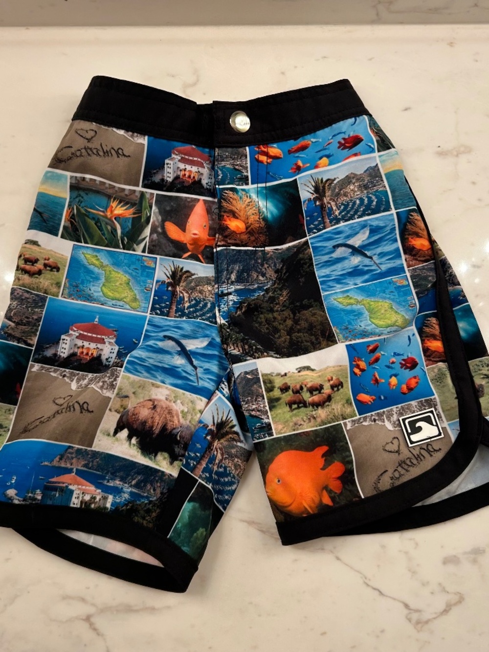 Quiksilver Catalina Island Boys Swim Board Shorts 3T Photo Print